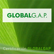Global GAP